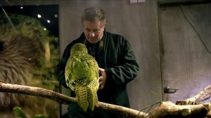 Rare_PhotoArk (c) National Geographic, Erin Harvey